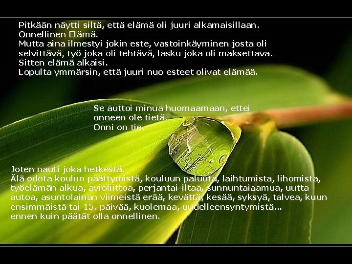 Pitkään näytti siltä, että elämä oli juuri alkamaisillaan. Onnellinen Elämä. Mutta aina ilmestyi jokin