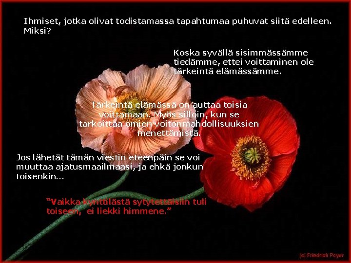 Ihmiset, jotka olivat todistamassa tapahtumaa puhuvat siitä edelleen. Miksi? Koska syvällä sisimmässämme tiedämme, ettei