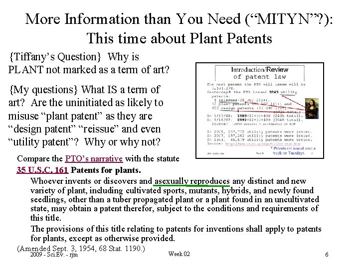 More Information than You Need (“MITYN”? ): This time about Plant Patents {Tiffany’s Question}