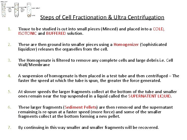 Steps of Cell Fractionation & Ultra Centrifugation 1. Tissue to be studied is cut