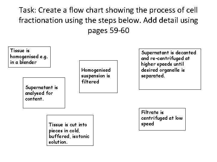 Task: Create a flow chart showing the process of cell fractionation using the steps