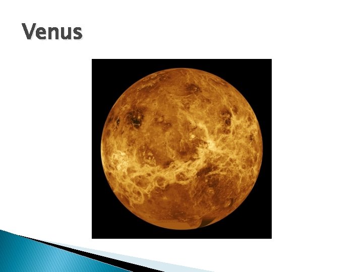 Venus 