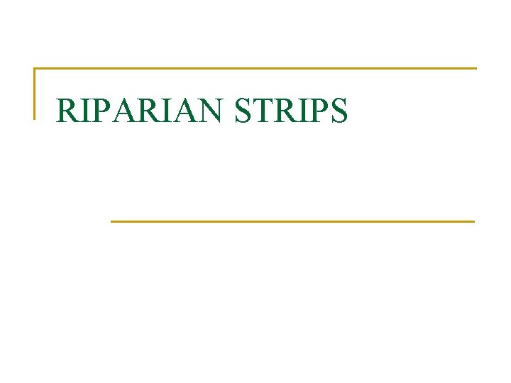 RIPARIAN STRIPS 