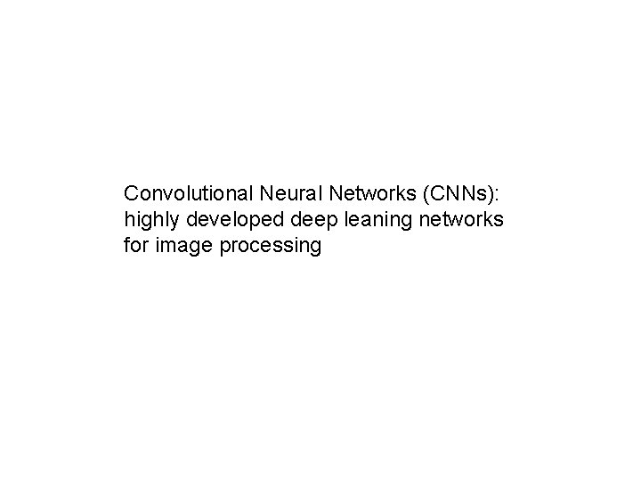 Convolutional Neural Networks (CNNs): highly developed deep leaning networks for image processing 