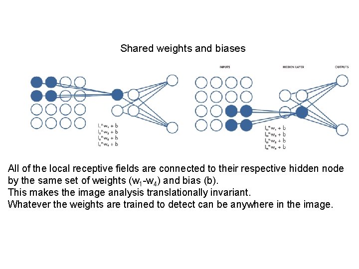 Shared weights and biases All of the local receptive fields are connected to their