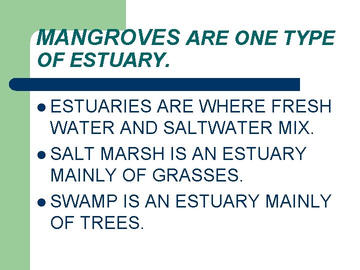 MANGROVES ARE ONE TYPE OF ESTUARY. l ESTUARIES ARE WHERE FRESH WATER AND SALTWATER