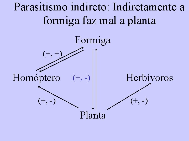 Parasitismo indireto: Indiretamente a formiga faz mal a planta Formiga (+, +) Homóptero (+,