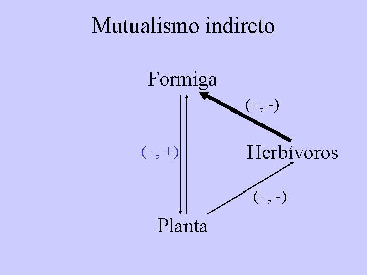 Mutualismo indireto Formiga (+, -) (+, +) Herbívoros (+, -) Planta 