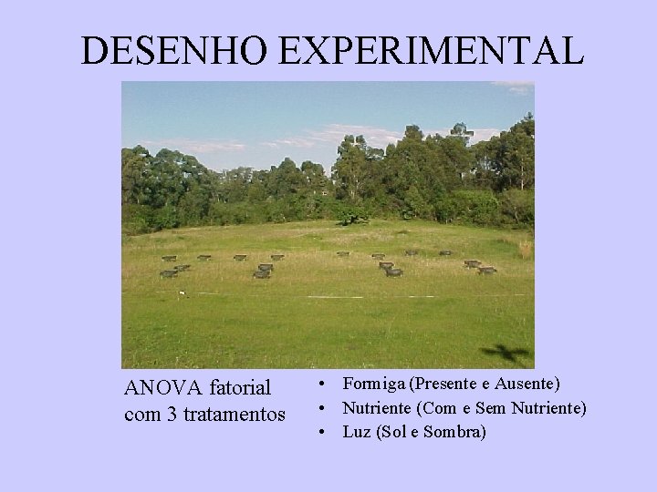 DESENHO EXPERIMENTAL ANOVA fatorial com 3 tratamentos • Formiga (Presente e Ausente) • Nutriente