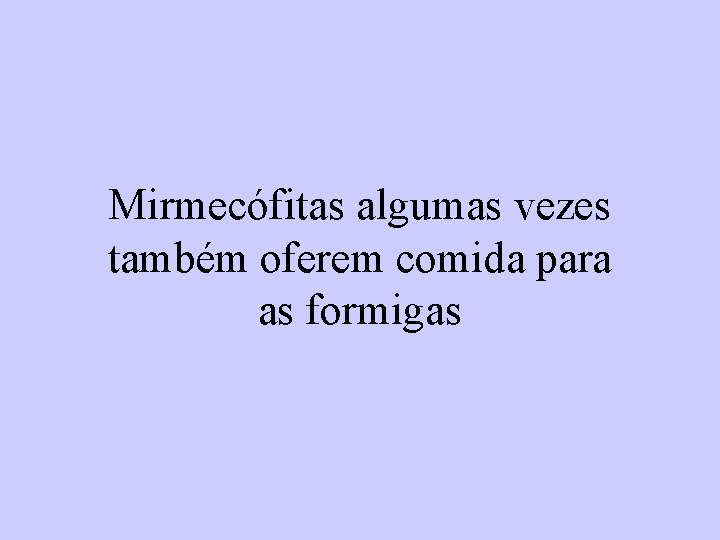 Mirmecófitas algumas vezes também oferem comida para as formigas 