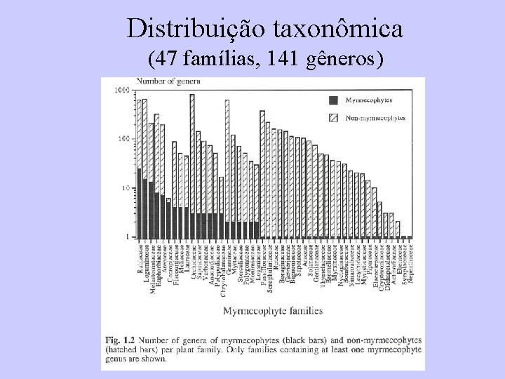 Distribuição taxonômica (47 famílias, 141 gêneros) 