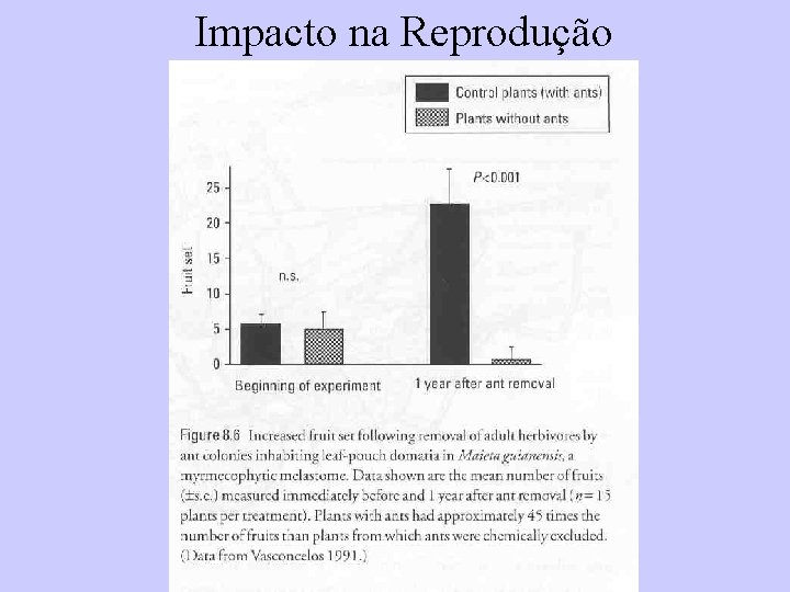 Impacto na Reprodução 