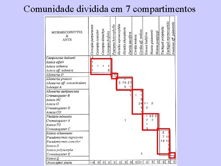 Comunidade dividida em 7 compartimentos 