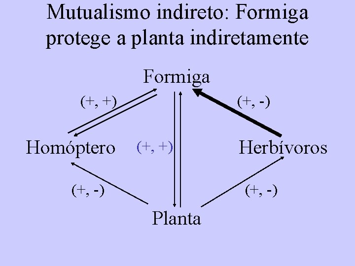 Mutualismo indireto: Formiga protege a planta indiretamente Formiga (+, +) Homóptero (+, -) (+,