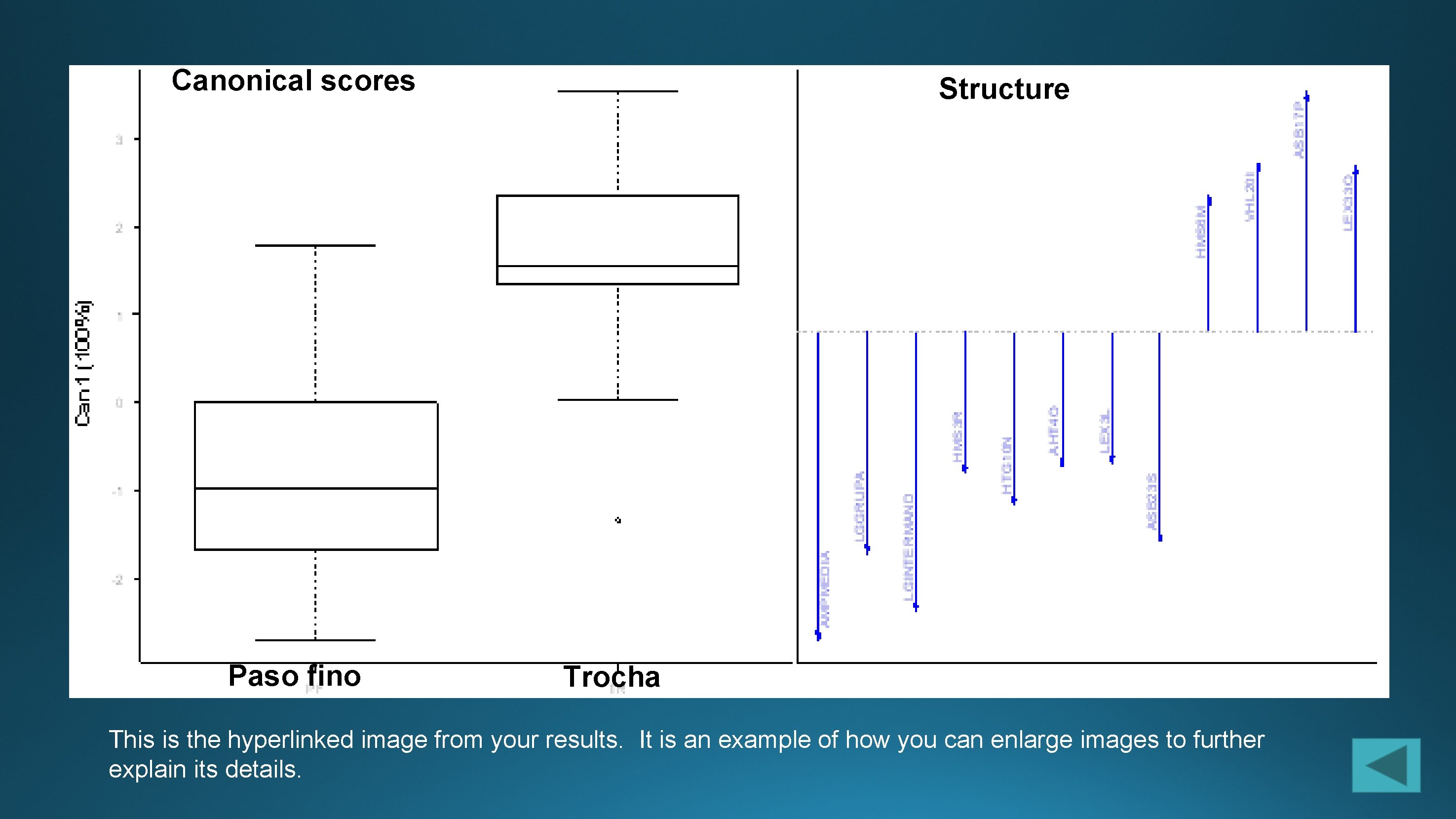 Canonical scores Paso fino Structure Trocha This is the hyperlinked image from your results.