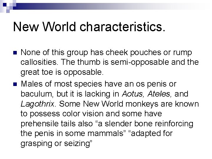 New World characteristics. n n None of this group has cheek pouches or rump