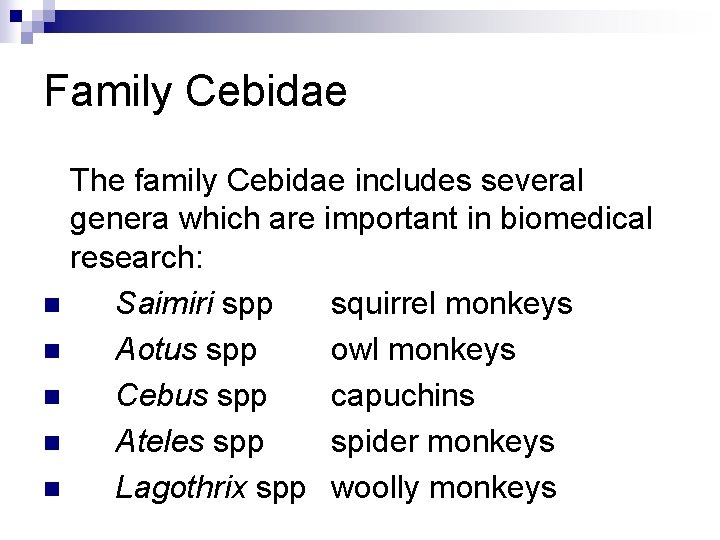 Family Cebidae The family Cebidae includes several genera which are important in biomedical research: