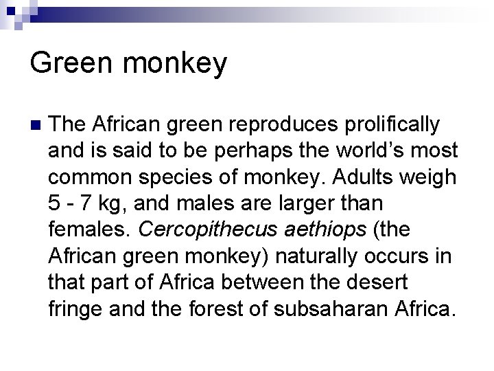 Green monkey n The African green reproduces prolifically and is said to be perhaps