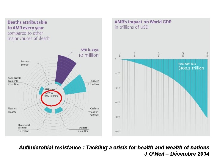 Antimicrobial resistance : Tackling a crisis for health and wealth of nations J O’Neil