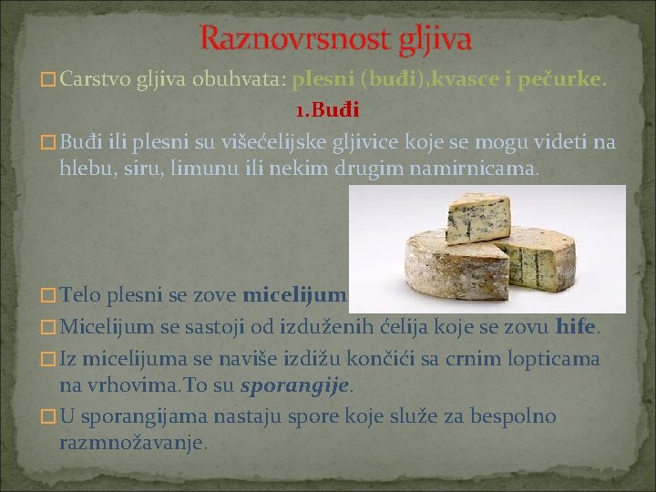 Raznovrsnost gljiva � Carstvo gljiva obuhvata: plesni (buđi), kvasce i pečurke. 1. Buđi �