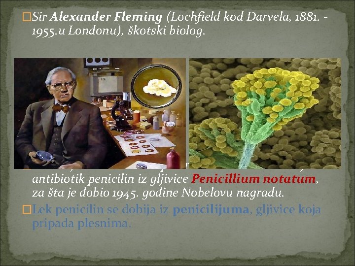 �Sir Alexander Fleming (Lochfield kod Darvela, 1881. - 1955. u Londonu), škotski biolog. �Otkrio