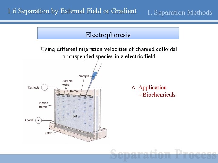 1. 6 Separation by External Field or Gradient 1. Separation Methods Electrophoresis Using different