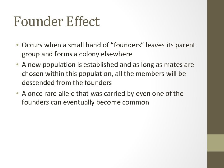 Founder Effect • Occurs when a small band of “founders” leaves its parent group
