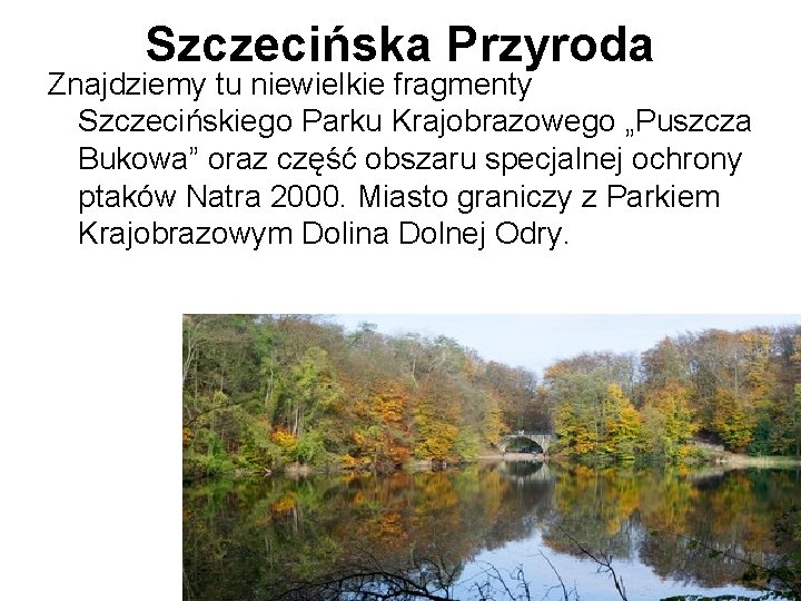 Szczecińska Przyroda Znajdziemy tu niewielkie fragmenty Szczecińskiego Parku Krajobrazowego „Puszcza Bukowa” oraz część obszaru
