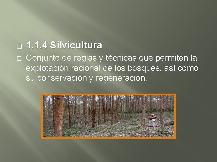 � � 1. 1. 4 Silvicultura Conjunto de reglas y técnicas que permiten la