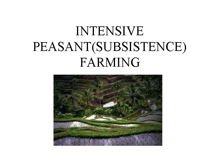 INTENSIVE PEASANT(SUBSISTENCE) FARMING 