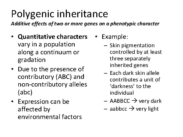 Polygenic inheritance Additive effects of two or more genes on a phenotypic character •