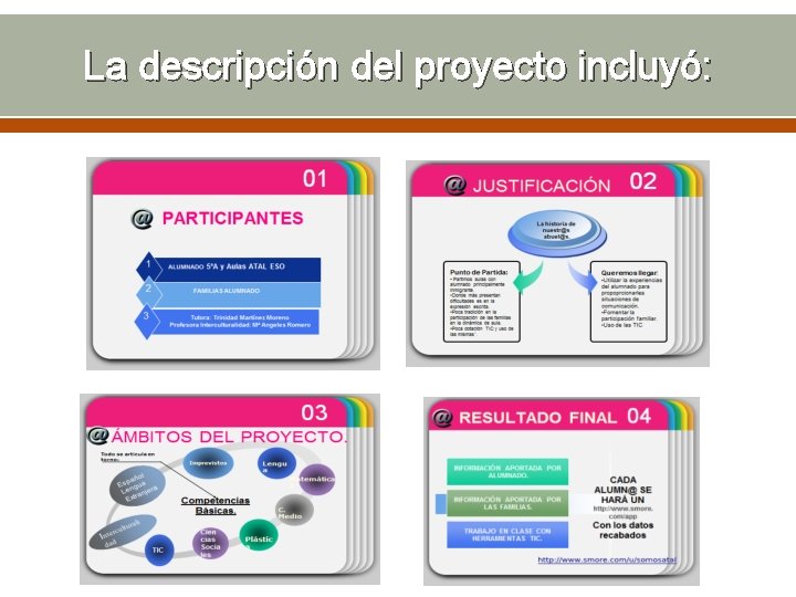 La descripción del proyecto incluyó: 