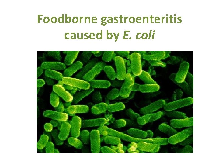 Foodborne gastroenteritis caused by E. coli 