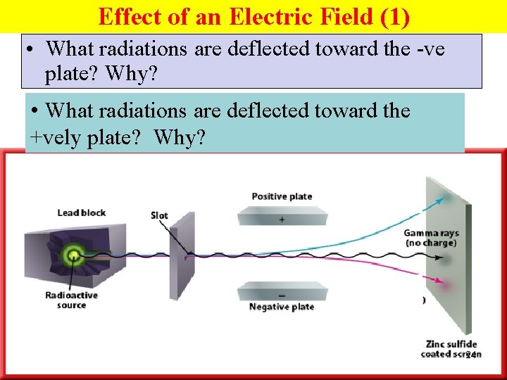 Effect of an Electric Field (1) • What radiations are deflected toward the -ve