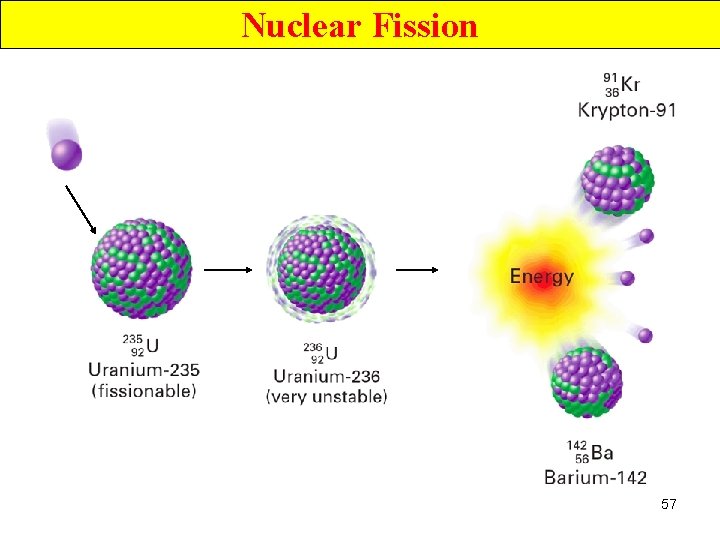 Nuclear Fission 57 