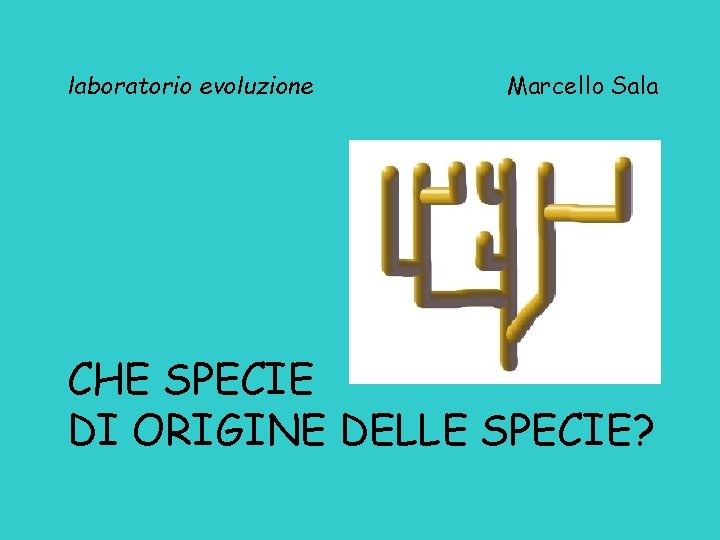 laboratorio evoluzione Marcello Sala CHE SPECIE DI ORIGINE DELLE SPECIE? 