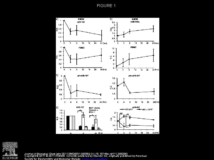 FIGURE 1 Journal of Biological Chemistry 2011 28625531 -25539 DOI: (10. 1074/jbc. M 111.