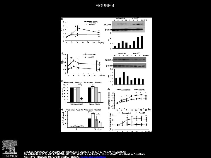 FIGURE 4 Journal of Biological Chemistry 2011 28625531 -25539 DOI: (10. 1074/jbc. M 111.