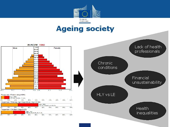 Ageing society Lack of health professionals Chronic conditions Financial unsustainability HLY vs LE Health