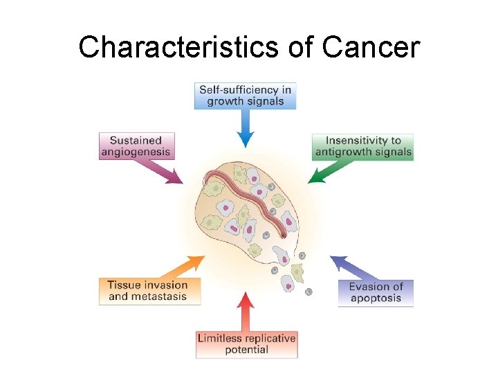 Characteristics of Cancer 