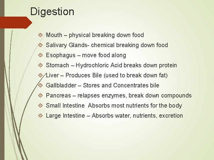 Digestion Mouth – physical breaking down food Salivary Glands- chemical breaking down food Esophagus