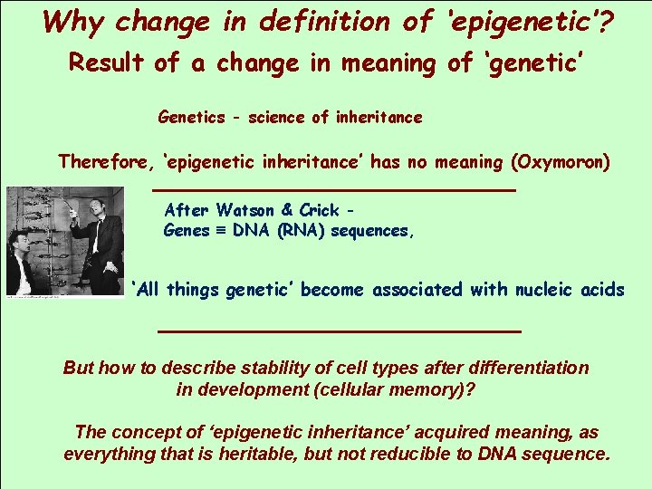 Why change in definition of ‘epigenetic’? Result of a change in meaning of ‘genetic’