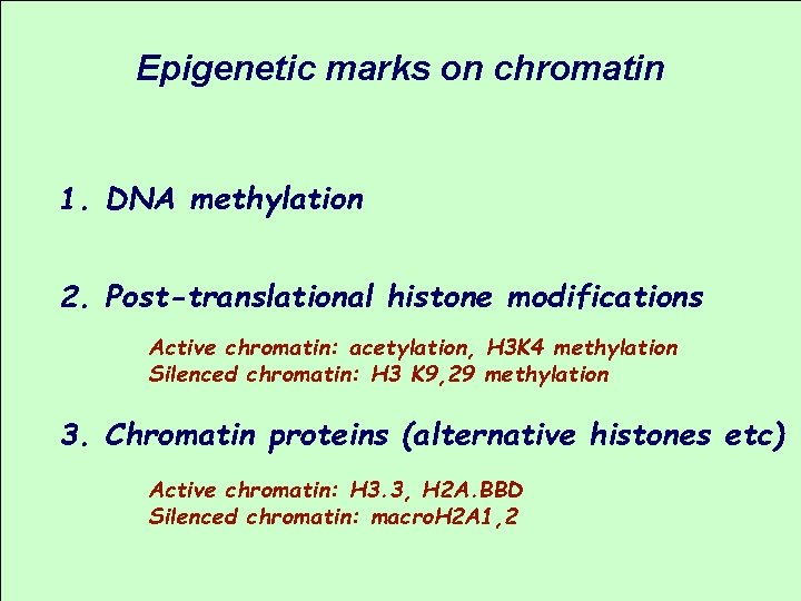 Epigenetic marks on chromatin 1. DNA methylation 2. Post-translational histone modifications Active chromatin: acetylation,