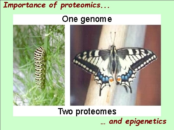 Importance of proteomics. . . … and epigenetics 