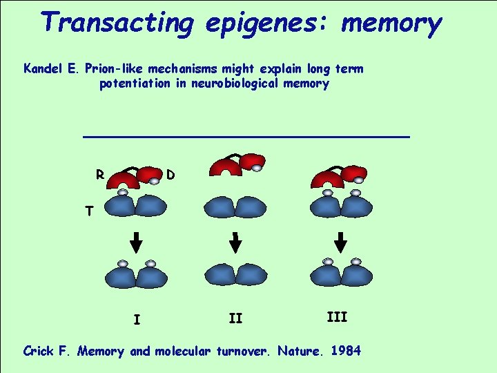 Transacting epigenes: memory Kandel E. Prion-like mechanisms might explain long term potentiation in neurobiological