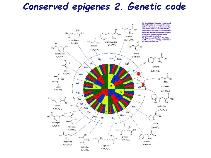 Conserved epigenes 2. Genetic code 