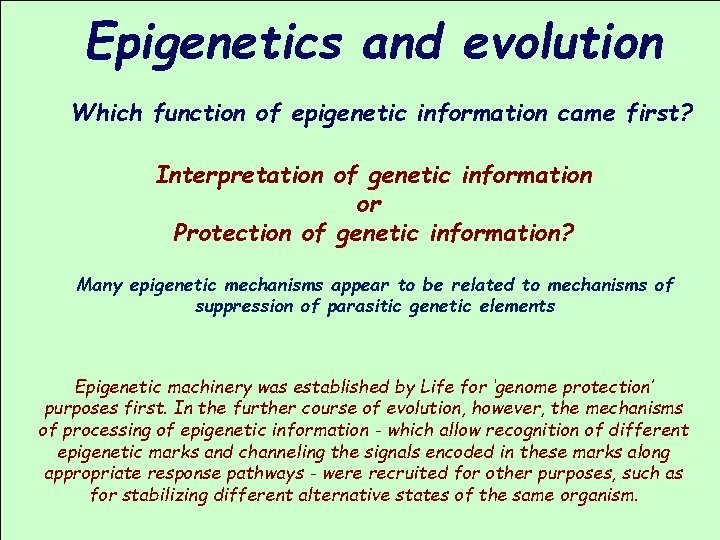 Epigenetics and evolution Which function of epigenetic information came first? Interpretation of genetic information