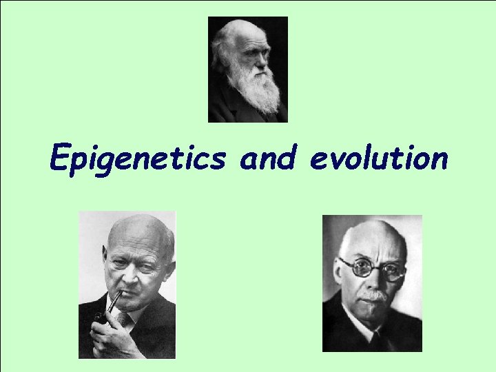 Epigenetics and evolution 