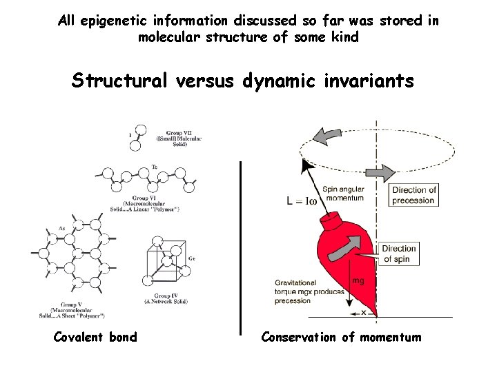 All epigenetic information discussed so far was stored in molecular structure of some kind