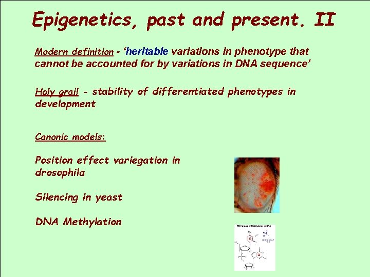 Epigenetics, past and present. II Modern definition - ‘heritable variations in phenotype that cannot